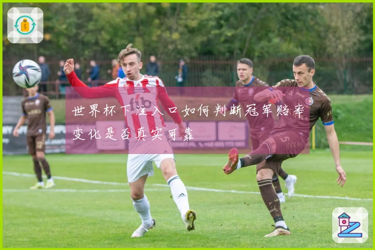 世界杯下注入口如何判断冠军赔率变化是否真实可靠