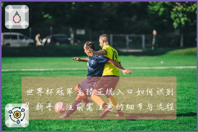 世界杯冠军竞猜正规入口如何识别？新手投注前需注意的细节与流程