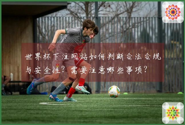 世界杯下注网站如何判断合法合规与安全性？需要注意哪些事项？