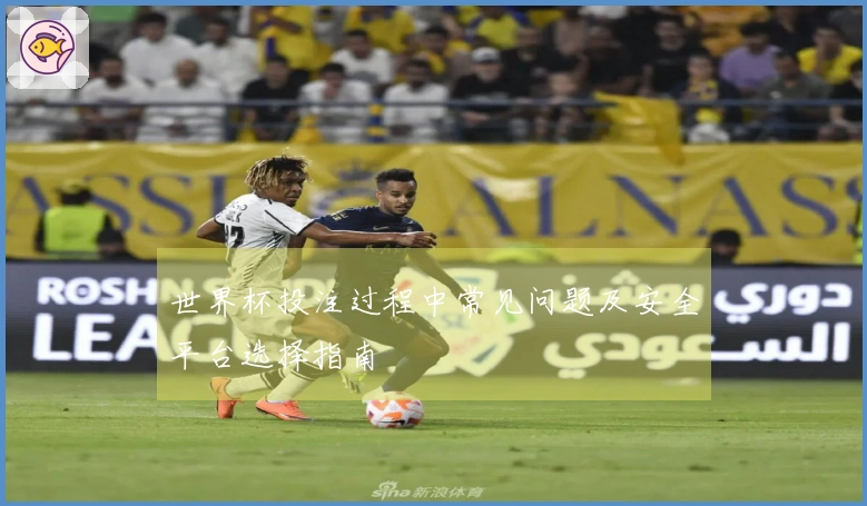 世界杯投注过程中常见问题及安全平台选择指南