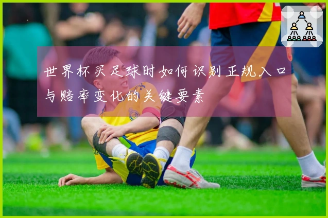 世界杯买足球时如何识别正规入口与赔率变化的关键要素
