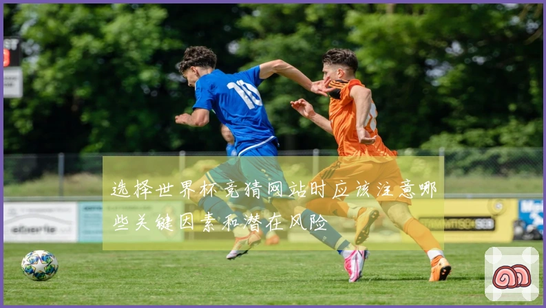 选择世界杯竞猜网站时应该注意哪些关键因素和潜在风险