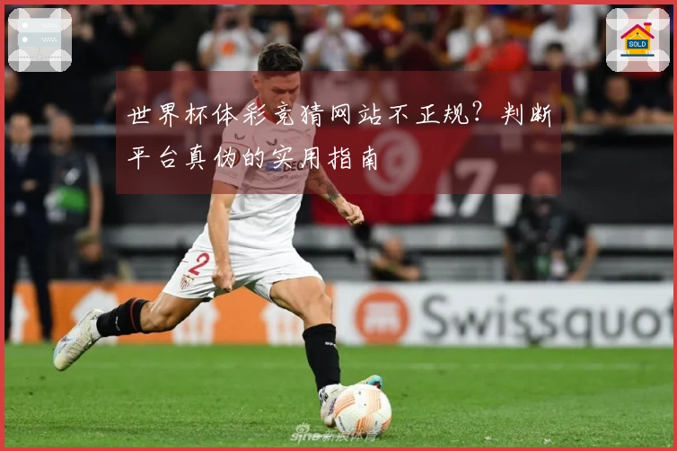 世界杯体彩竞猜网站不正规？判断平台真伪的实用指南