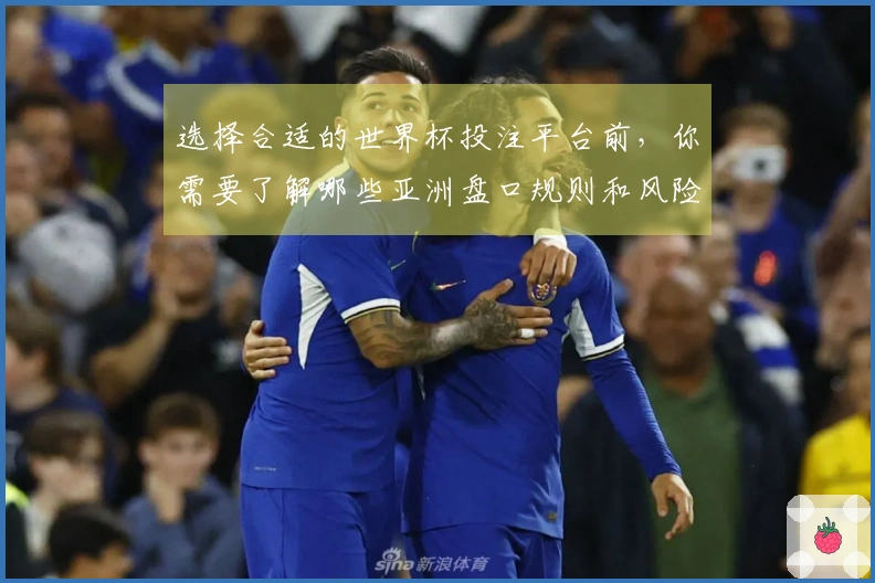 选择合适的世界杯投注平台前，你需要了解哪些亚洲盘口规则和风险？