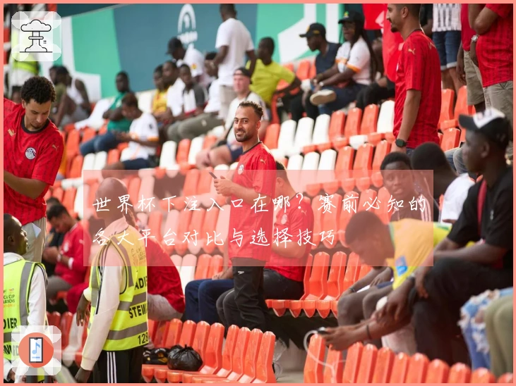 世界杯下注入口在哪?赛前必知的各大平台对比与选择技巧
