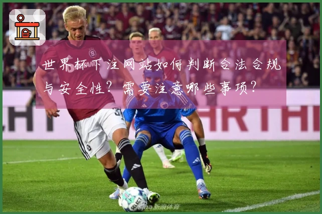 世界杯下注网站如何判断合法合规与安全性？需要注意哪些事项？