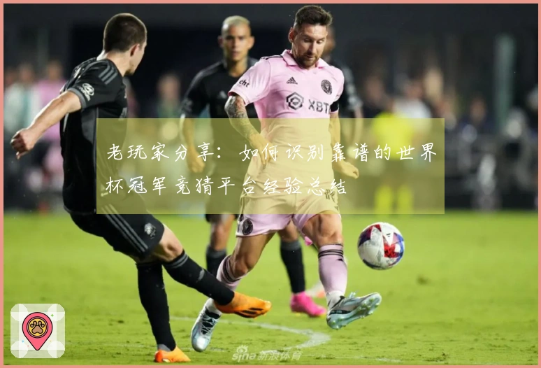 老玩家分享：如何识别靠谱的世界杯冠军竞猜平台经验总结