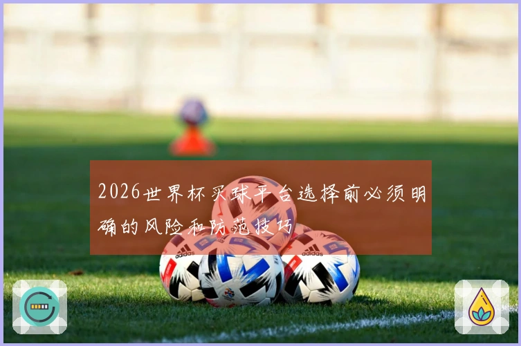 2026世界杯买球平台选择前必须明确的风险和防范技巧