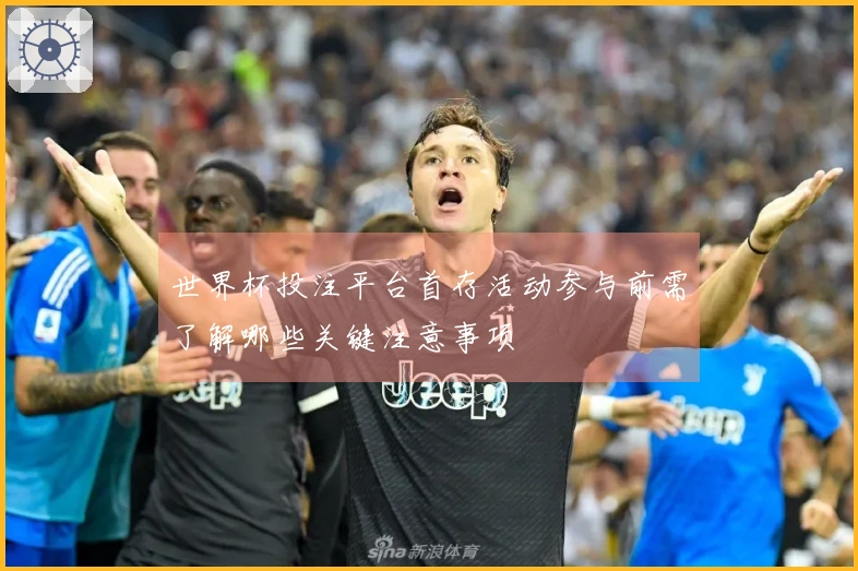 世界杯投注平台首存活动参与前需了解哪些关键注意事项