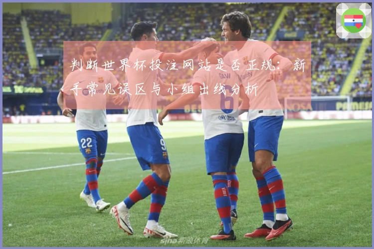 判断世界杯投注网站是否正规：新手常见误区与小组出线分析