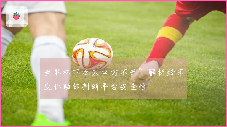 世界杯下注入口打不开?解析赔率变化助你判断平台安全性