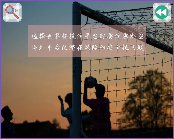 选择世界杯投注平台时要注意哪些海外平台的潜在风险和安全性问题