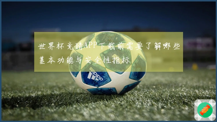 世界杯竞猜APP下载前需要了解哪些基本功能与安全性指标