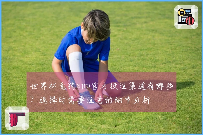世界杯竞猜app官方投注渠道有哪些？选择时需要注意的细节分析