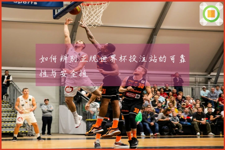 如何辨别正规世界杯投注站的可靠性与安全性