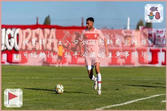 世界杯下注入口如何判断安全性与可信赖性？新手必读的注意事项与建议