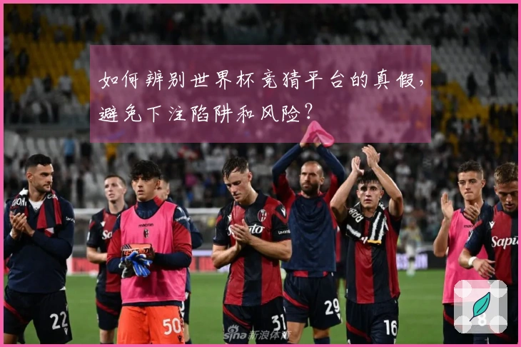 如何辨别世界杯竞猜平台的真假，避免下注陷阱和风险？