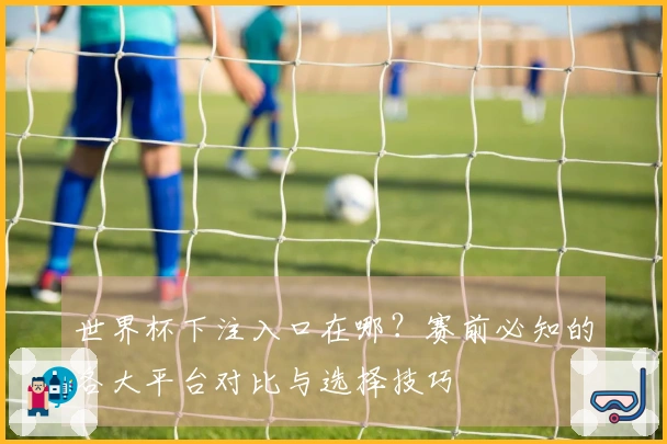 世界杯下注入口在哪？赛前必知的各大平台对比与选择技巧