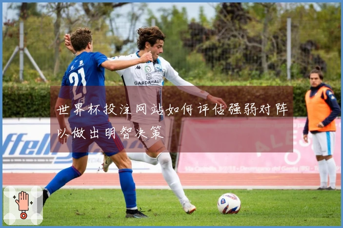 世界杯投注网站如何评估强弱对阵以做出明智决策