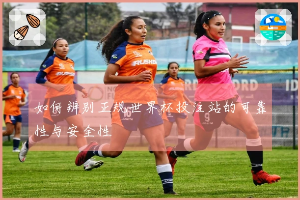 如何辨别正规世界杯投注站的可靠性与安全性