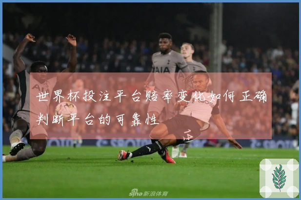 世界杯投注平台赔率变化如何正确判断平台的可靠性
