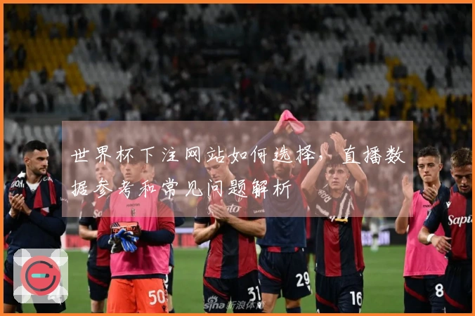 世界杯下注网站如何选择，直播数据参考和常见问题解析