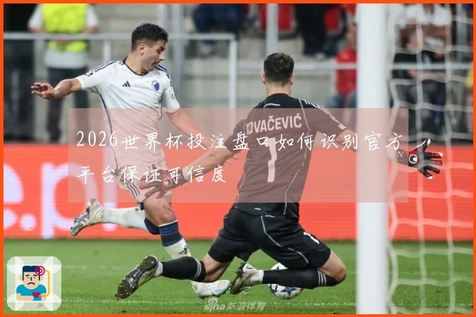 2026世界杯投注盘口如何识别官方平台保证可信度