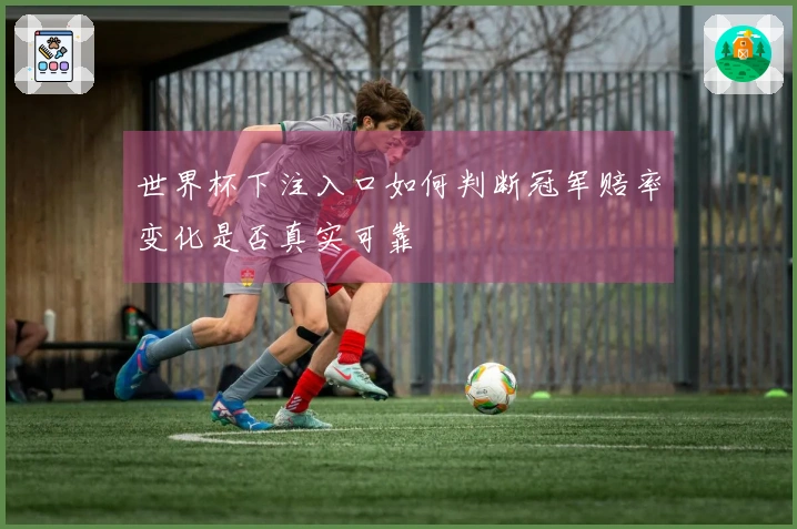 世界杯下注入口如何判断冠军赔率变化是否真实可靠