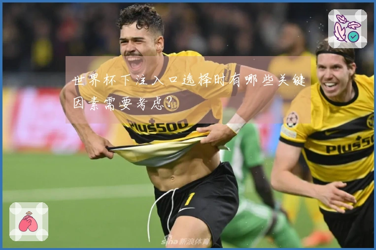 世界杯下注入口选择时有哪些关键因素需要考虑？