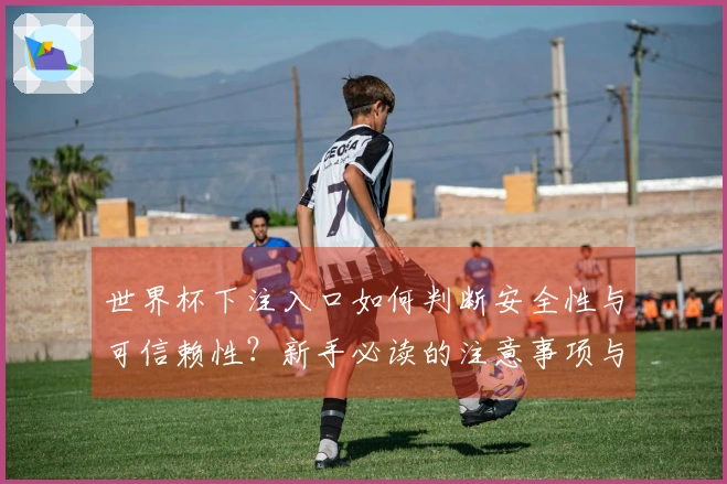 世界杯下注入口如何判断安全性与可信赖性？新手必读的注意事项与建议