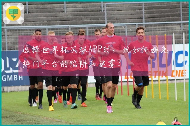 选择世界杯买球APP时，该如何避免热门平台的陷阱和迷雾？